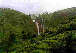 Sri Lanka Picture Archive 16